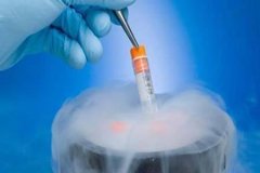 试管婴儿冷冻胚胎可以冷冻多久