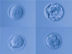 什么原因可能导致试管婴儿没有胚胎可用呢?