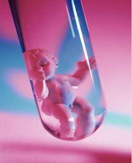 试管婴儿,胚胎培养,精卵结合