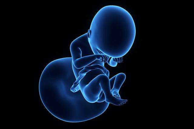 试管婴儿,胚胎移植,安胎,产检