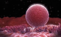 胚胎移植后腹泻怎么办？会影响胚胎着床吗？