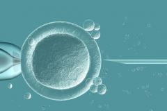 试管婴儿促排过程中为什么要监测卵泡