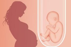 试管婴儿成功后在妊娠期间需要注意什么