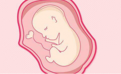 女性内分泌性不孕可以做试管婴儿吗