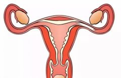 输卵管堵塞有哪些症状