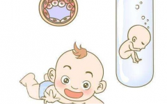 试管婴儿想要成功就要杜绝优质卵泡受影响