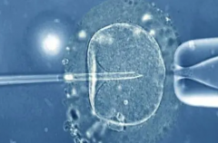 为什么试管婴儿选择优质胚胎移植 却失败了