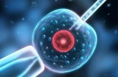 第三代试管婴儿是如何完成体外受精形成胚胎的