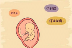 试管婴儿移植后如何避免胎停育的发生
