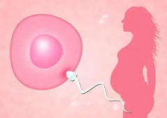 试管婴儿取卵后如何预防腹水的发生