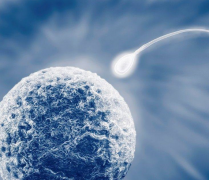 做试管婴儿为什么选择优质的胚胎也会失败呢？