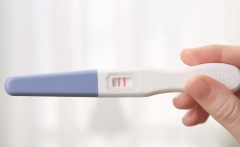 试管婴儿移植后几天能测出怀孕？