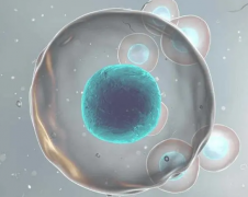 深圳三代试管婴儿胚胎移植之后的注意细节介绍