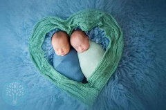 试管婴儿生双胞胎的可能性是多少？