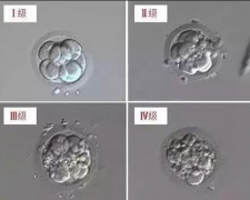 如何区分试管婴儿冷冻胚胎水平？