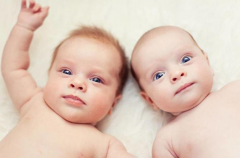 试管婴儿双胞胎长的一样吗